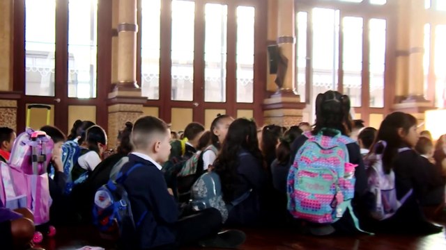 tn7-estudiantes-de-primaria-inician-pruebas-nacionales-estandarizadas-este-martes-141025