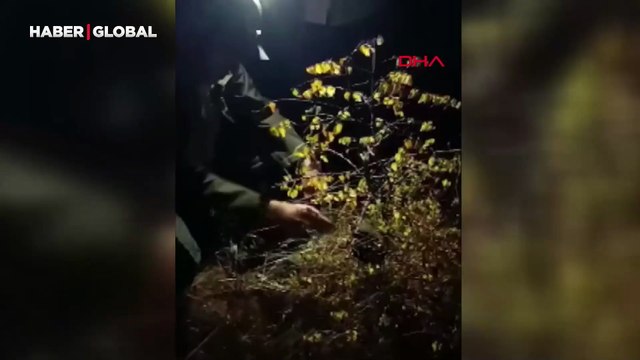 Adres Karabük: Yanına gelen tilkiyi ekmekle besledi