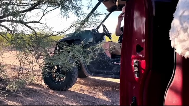 6 Most Disturbing Truck Camping Encounters Caught on Camera