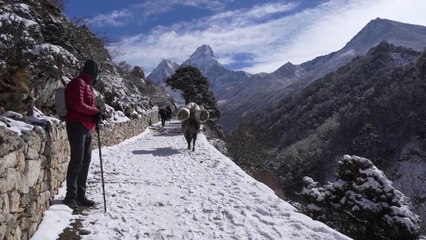 What I Wish I Knew Before Packing for Everest Base Camp Trek