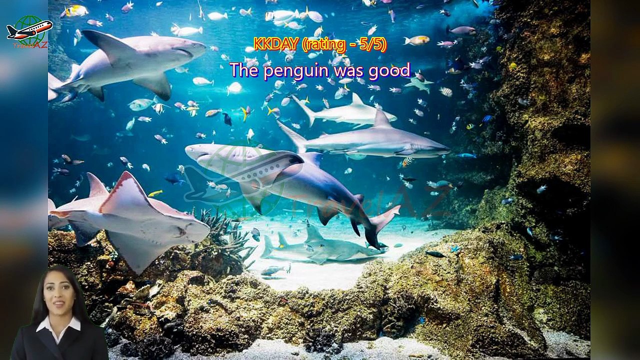 [QR Direct Entry] SEA LIFE Sydney Aquarium Admission Ticket + Digi Photo Pass | Australia