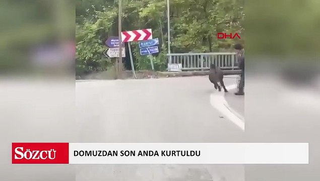 Yolda yürürken üzerine doğru gelen domuzdan son anda kurtuldu