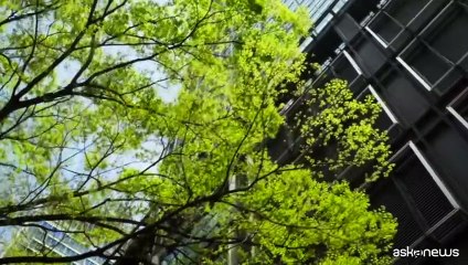 Edilizia sostenibile, presentato il Green Building Forum Italia