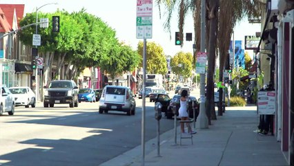 The Hollywood Hillbillies Go Shopping on Melrose Ave