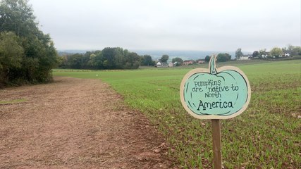 A little slice of American halloween in Wales