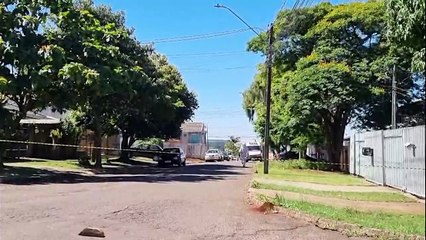 Defesa Civil e Bombeiros são mobilizados cachorros serem atacados por abelhas no bairro Santa Cruz