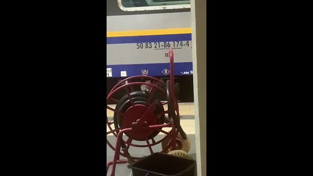 Cosenza, Vaglio Lise immersa nel degrado e i topi... banchettano indisturbati