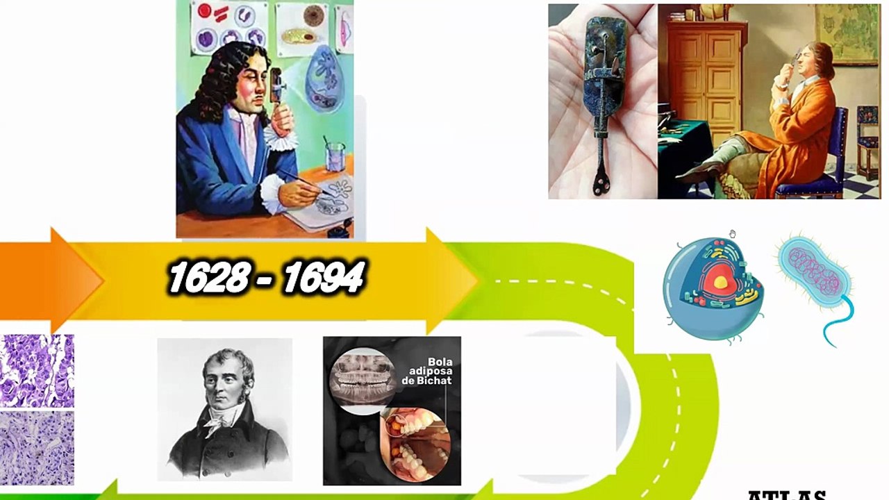 1000085154