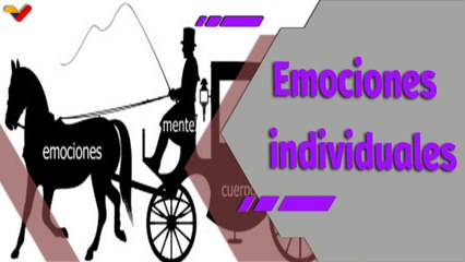 Al Día | ¡Sigue la carroza!