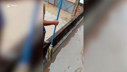 Niño rescata a gatito durante inundaciones en Veracruz