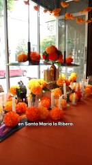 Pan de muerto tradicional en Kies Café