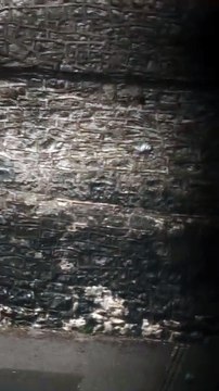 Wasteman | movie | 2026 | Official Teaser