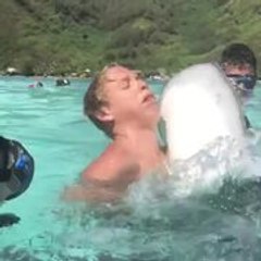 Man's Unexpected Yet Hilariously Encounter With Stingray on Vacation