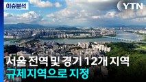서울 전역 토허구역으로...경기 12개 시구도 포함 / YTN