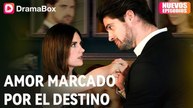 Amor Marcado por el Destino (Doblado)en Español