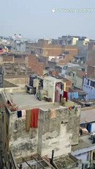 Why Cremation Is On Hold? Haryana IPS Case in 60s