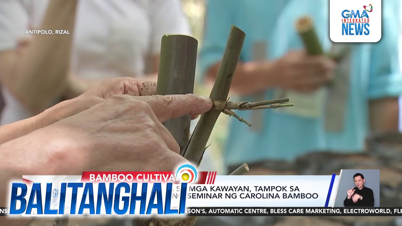 Tamang pag-aalaga sa mga kawayan, tampok sa 27th Bamboo Training ...