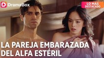 La Pareja Embarazada Del Alfa EstéRil - Full Movie