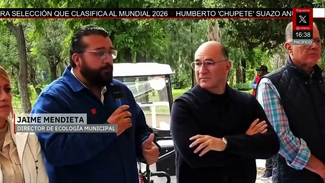 Los caballos recolectores de basura son jubilados en el estado de San Luis Potosí