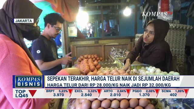 Kenaikan Harga Telur di Sejumlah Daerah, Pedagang Menduga Karena Harga Pakan Ayam Mahal