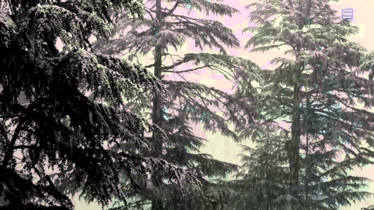 ❄️ Snowfall Sound Effect | 1 Hour Meditation Video | Relaxing Winter Music | Global Mantra