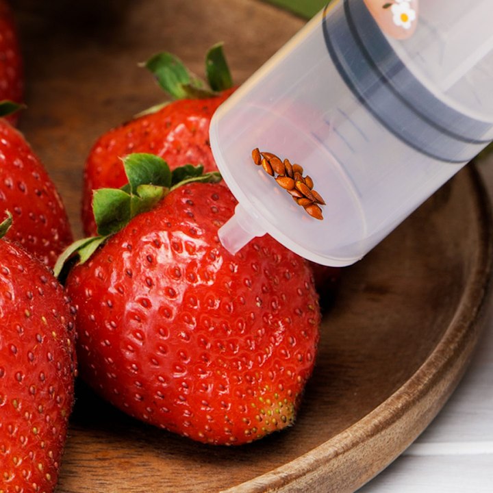 Essential potting hacks for vibrant gardens🌼