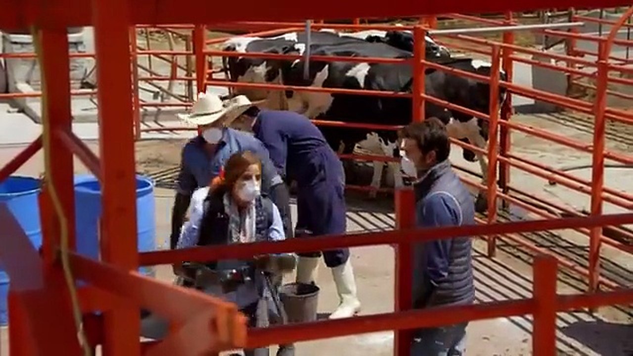 55. Mi Adorable Maldicion