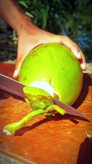 I Cut This Green Coconut Easily — Fruit Cutting Skills