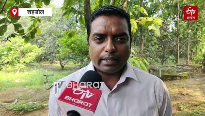 चना मसूर और मटर, अन्न से भर जाएंगे खेत, यह फसलें किसानों की आय कर देंगी डबल