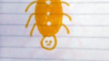 Ragno giallo