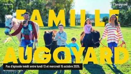 Familles nombreuses : L'émission de TF1 déprogrammée depuis lundi, on vous explique pourquoi