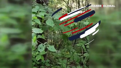 Rize’de görüntülenmişti, uzmanlar sebebini açıkladı