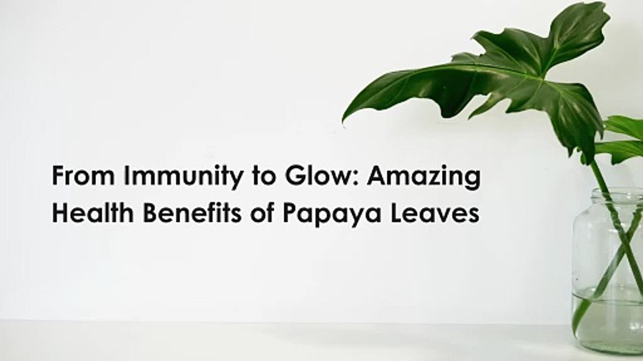 From Immunity to Glow: Amazing Health Benefits of Papaya Leaves