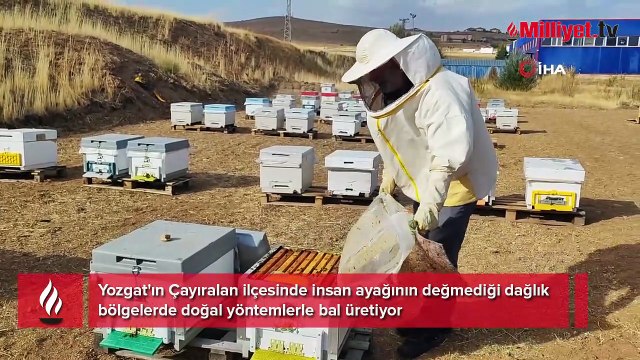 İnsan ayağının değmediği bölgede üretiyor! Siparişlere yetişemiyor: Kilosu bin TL