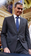 Sánchez, a Feijóo: "¿Usted qué ha hecho por la política? Nada"