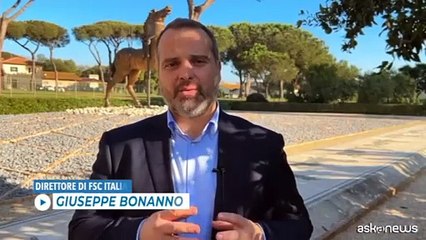 Ambiente, la tenuta di Castelporziano riceve la certificazione FSC