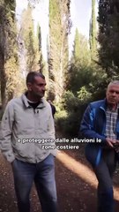 Decaro - Boschi di Puglia (15.10.25)