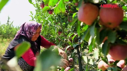 Emine Erdoğan'dan Dünya Kadın Çiftçiler Günü paylaşımı
