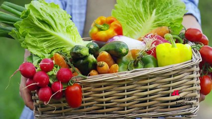 Dieta mediterranea: una bussola di sostenibilità e salute oggi più accessibile con la tecnologia