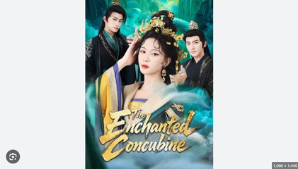 The Enchanted Concubine