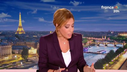Le nouveau ministre du Travail Jean-Pierre Farandou déclare "on est pas sourd, on est pas autiste" dans le journal de "20H" de Léa Salamé ce mardi 14 octobre