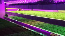 20 INVENTIONS THAT WILL CHANGE