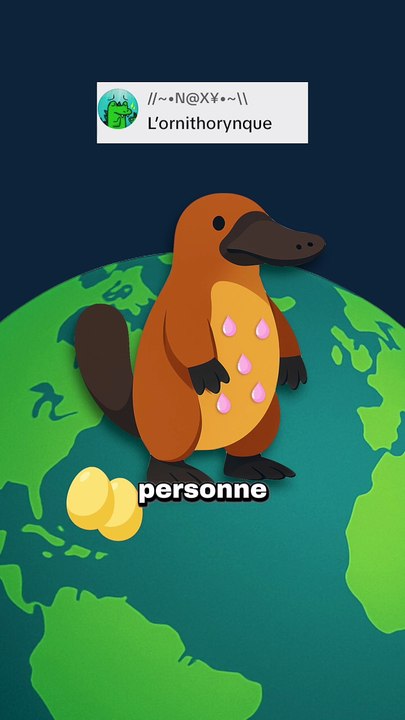 L'ornithorynque est pas si bizarre (c fo)