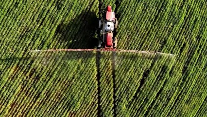 Mariana Grilli: Produção agrícola deve atingir 354,7 milhões de toneladas, aponta Conab