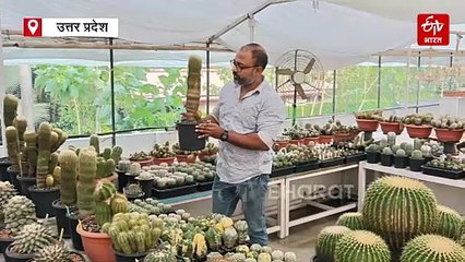 पीलीभीत का कैक्टस मैन; हर्षल ने छत पर बसा डाली 'कांटों की दुनिया', 400 से ज्यादा प्रजातियां, 50 साल तक पुराने पौधे