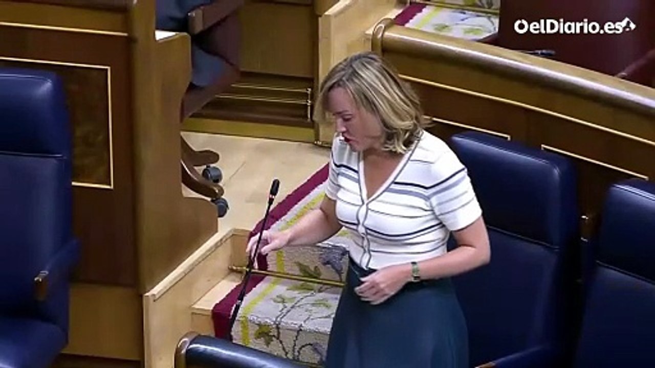 Alegría, a de los Santos (PP): "Pensaba que íbamos a hablar de Transparencia. Pero lo único transparente, y se demuestra cada miércoles, es que hacía mejor su trabajo llevando las bolsas de la compra de la mujer de Rajoy que aquí en la Cámara"