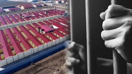 Kuyu tipi hapishanelere tepkiler büyüyor: Toplumsal muhalefete karşı gözdağı işlevi görüyor, derhal kapatılmalı