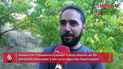Boş arazi 10 yılda hazineye dönüştü! Babadan kalan değerli miras