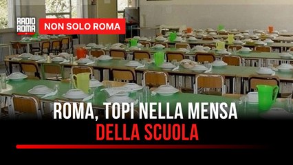 Roma, topi nella scuola primaria Vittorio Alfieri chiuse mensa e cucina