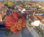 Autumnal Petersfield from above (by Big Ladder Photography)